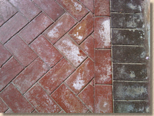 White efflorescence marks on paving bricks