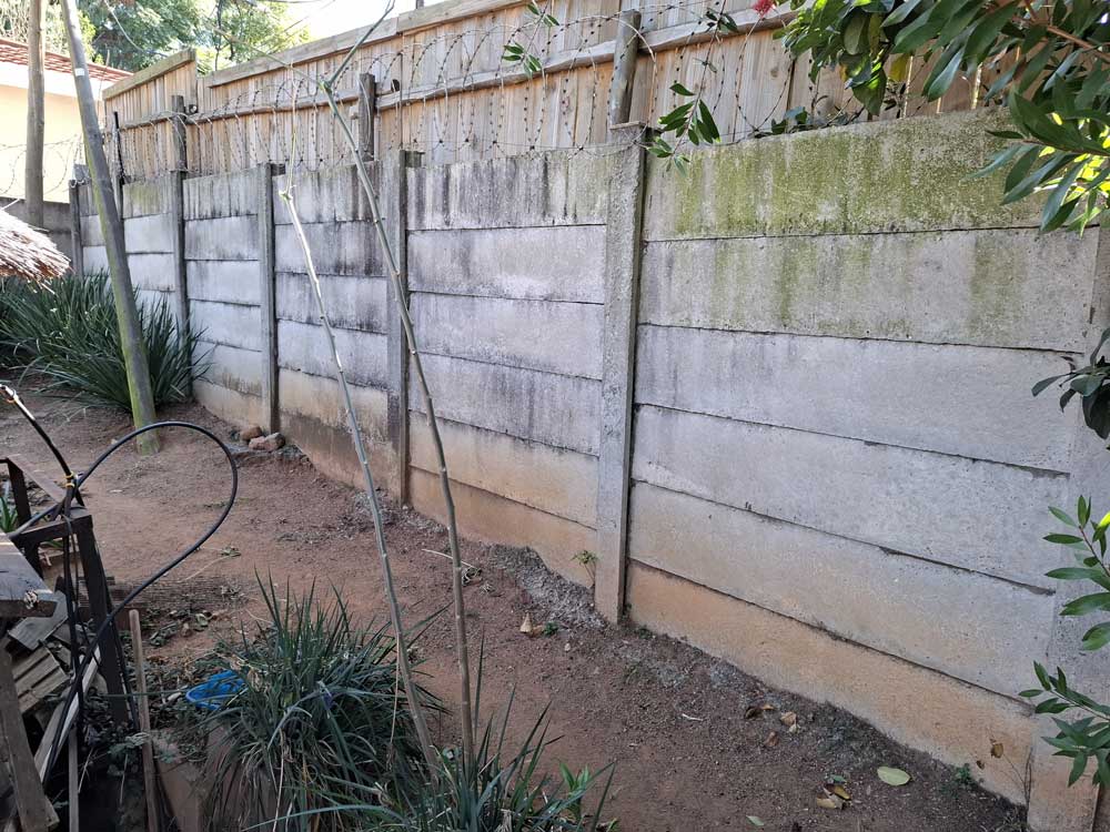 Before image of a prefabricated wall with black efflorescence, algae and moss